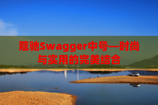 蔻驰Swagger中号—时尚与实用的完美结合
